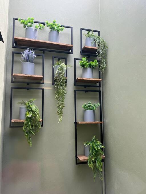 Casa Familiar Con Alberca Privada Climatizada Βίλα Γκουανταλαχάρα Εξωτερικό φωτογραφία